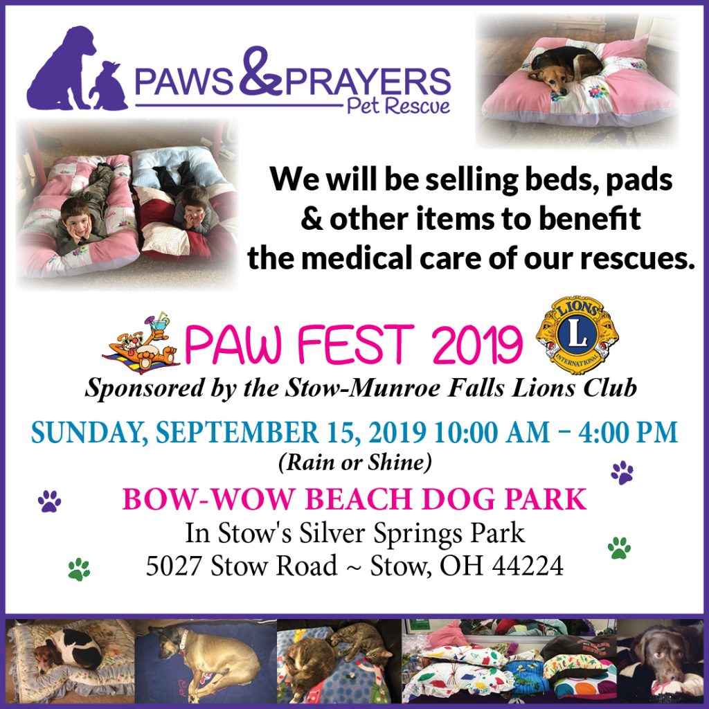 Paw Fest Paws and Prayers