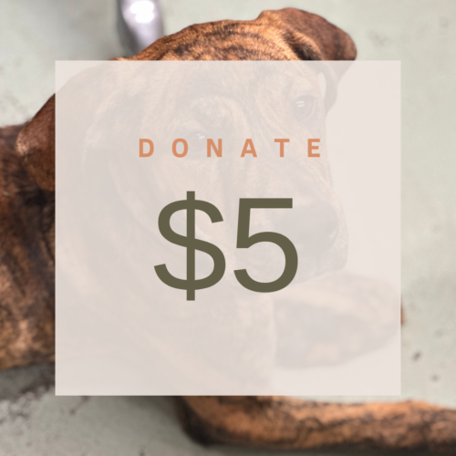 $5 donation