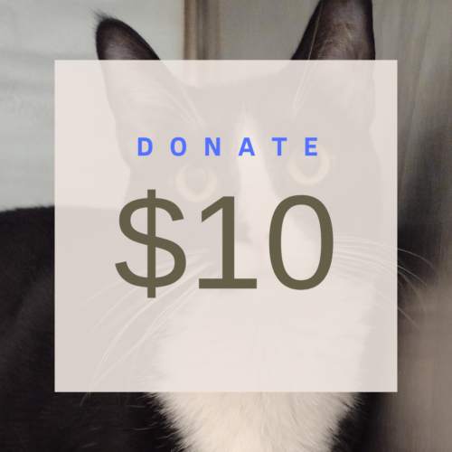 $10 donation